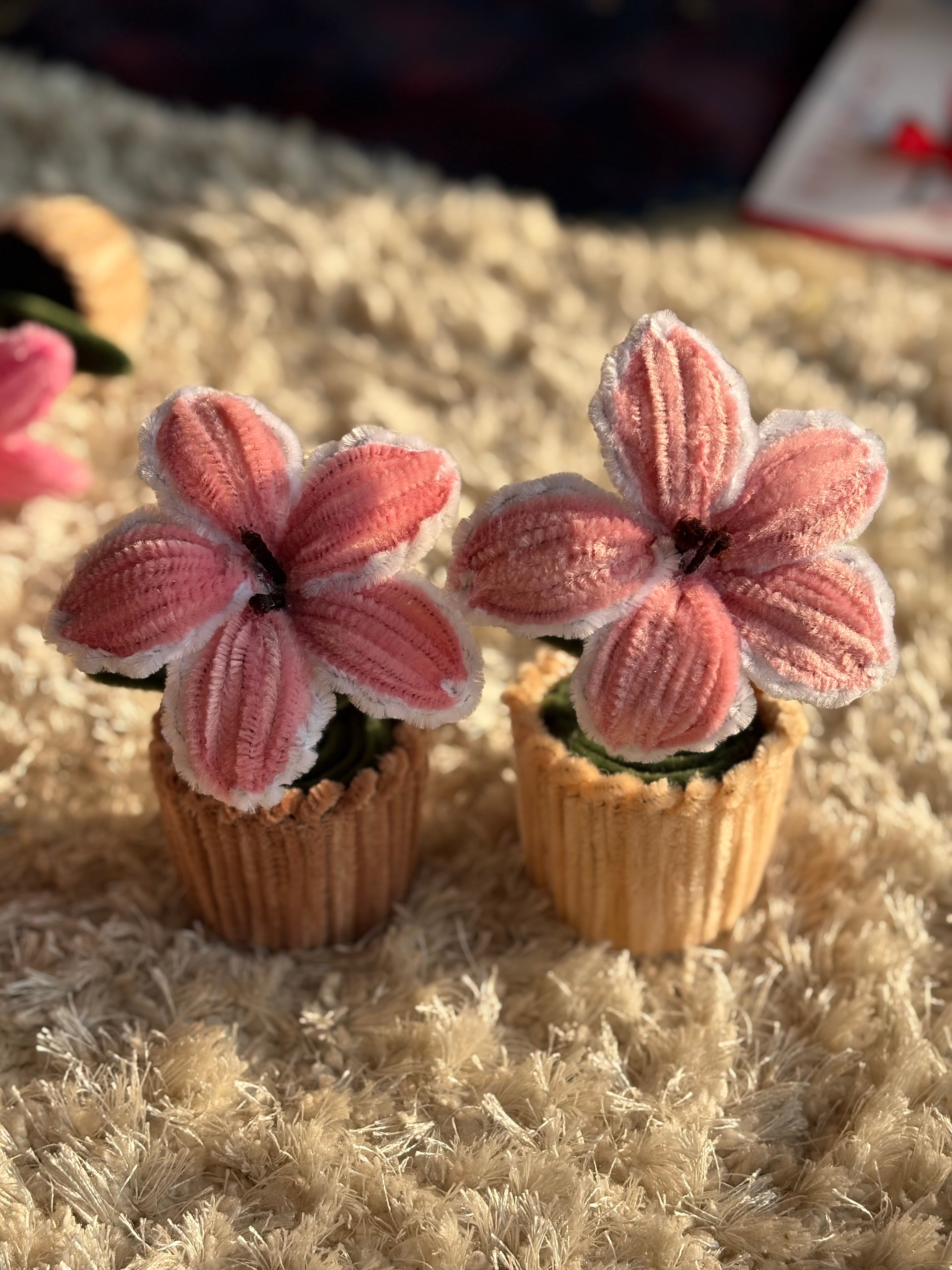 Tiger lily pot