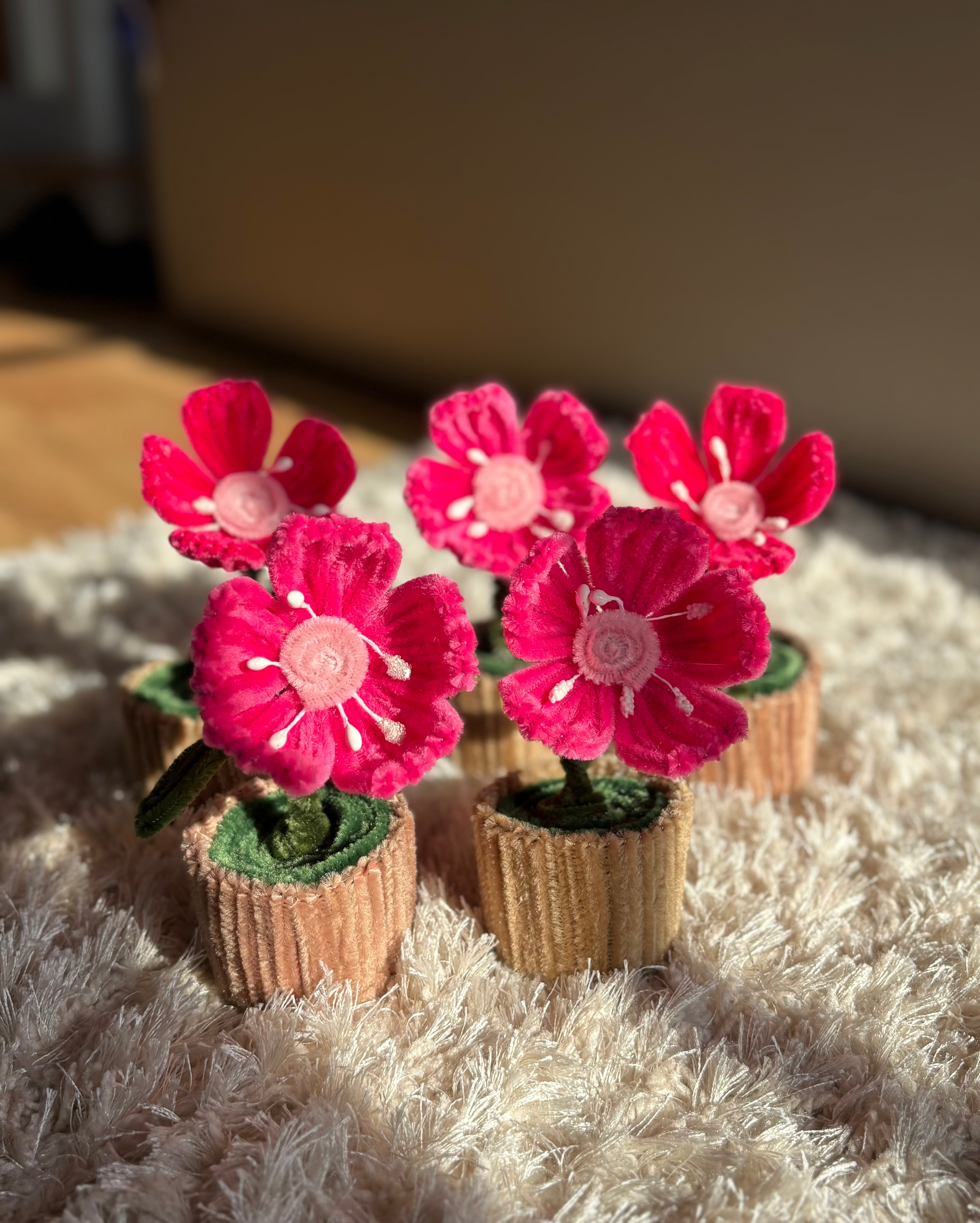 Poppy pot