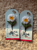 Daisy flower card - Artocalypse