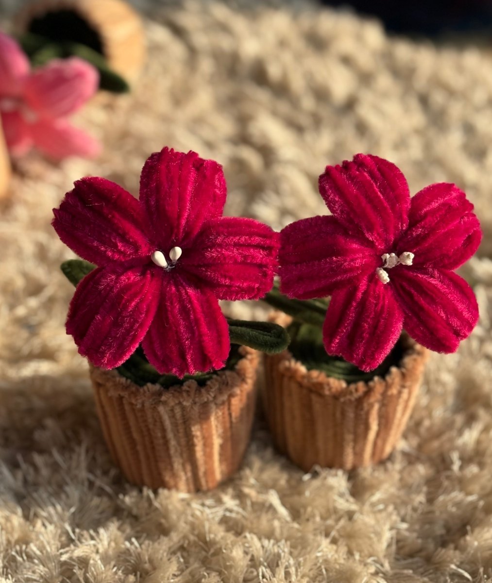 Hibiscus pot - Artocalypse